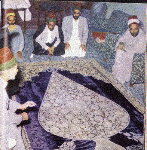 عکس شاه در سطل زباله