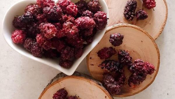 عکس شاه در سطل زباله