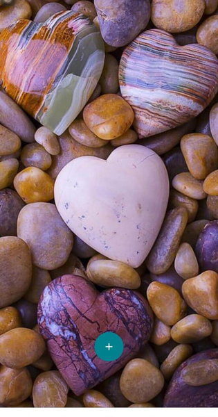 عکس پس زمینه ی صدف