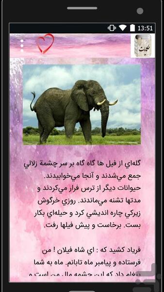 عکس فیل قدیمی