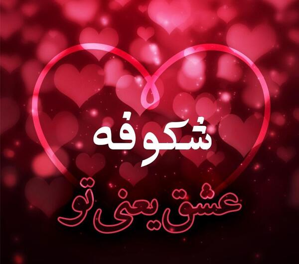 عکس نوشته از اسم شکوفه