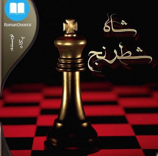 عکس امیرحسین در رمان شاه شطرنج