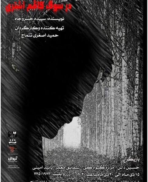 عکس شقایق معمر