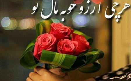 عکس از گل آرزو
