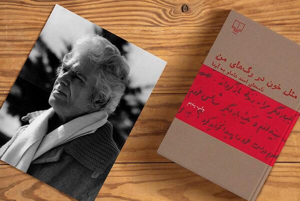 عکس نوشته های ناب احمد شاملو