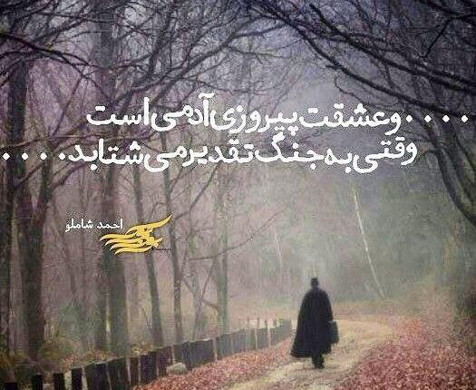 عکس نوشته های ناب احمد شاملو