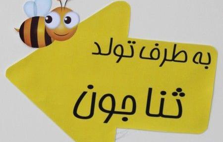 عکس نوشته تولد ثنا جونم
