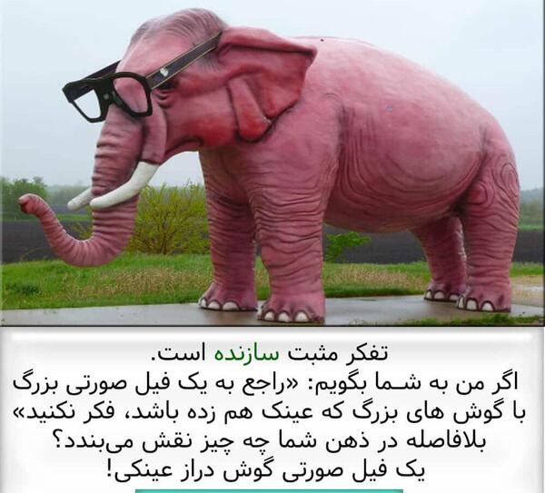 عکس فیل صورتی