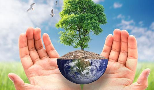 عکس تصاویر مفهومی طبیعت