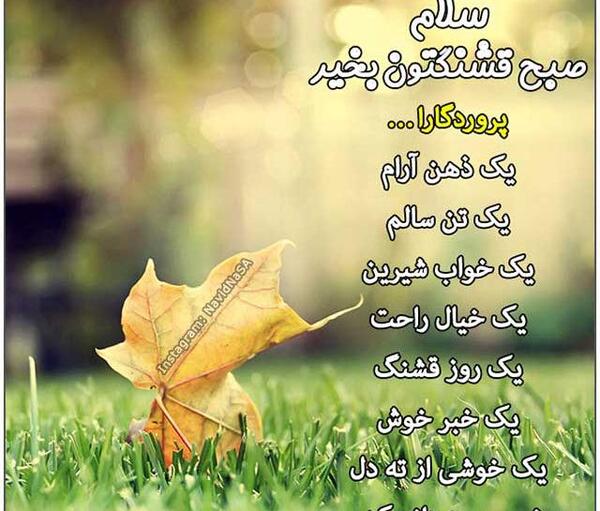 عکس صبح بخیر کردی