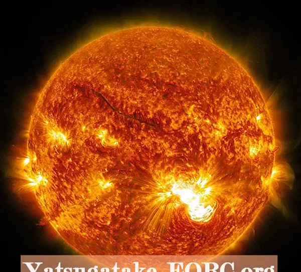 عکس خورشیدی ها