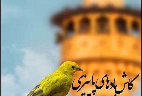 عکس پروفایل زیبا بدون متن طبیعت