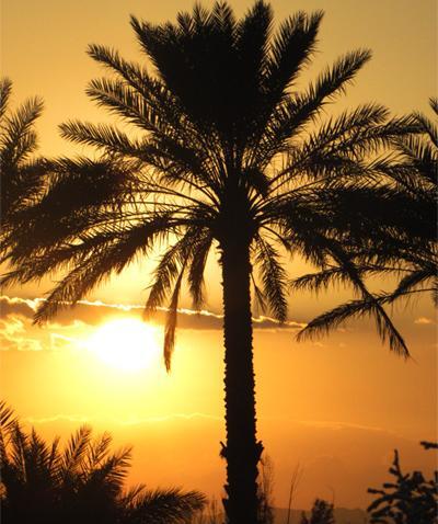 عکس خانه غروب