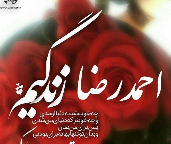 عکس نوشته تولد پسرم رضا