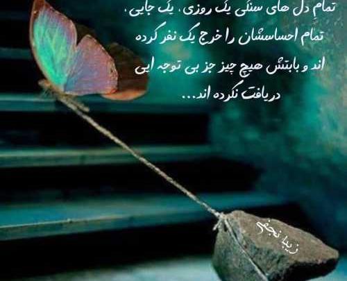 عکس نوشته پروانه وار