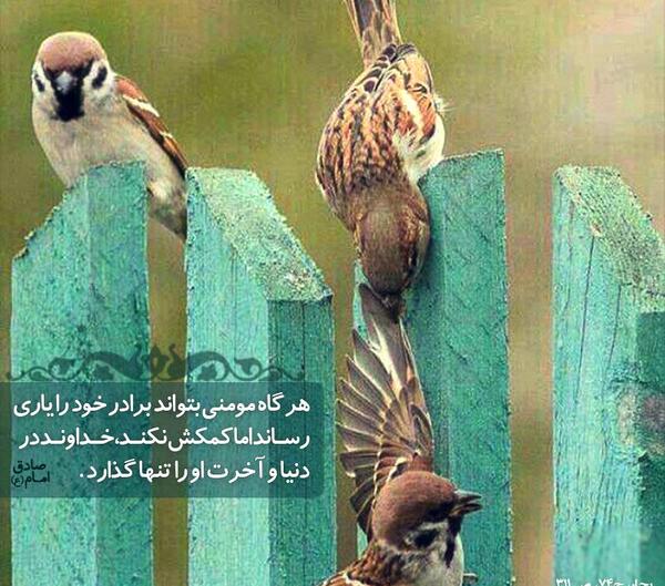عکس حدیث کمک به فقرا