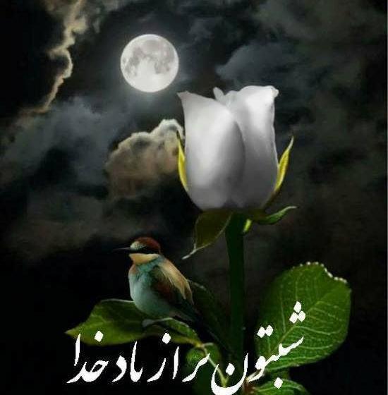 عکس نوشته شبتان رویایی