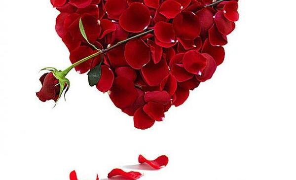 عکس قلب عاشق