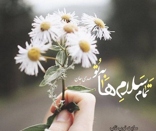 عکس گل نرگس با نوشته امام زمان