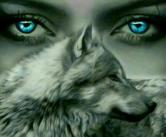عکس رمانتیک گرگ
