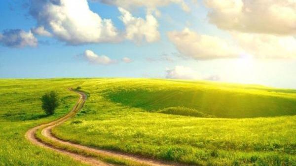 عکس از طبیعت آرام