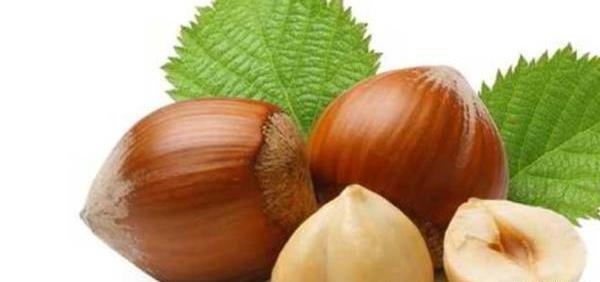 عکس دانیال فندق