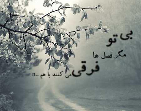عکس نوشته های صبح بارانی
