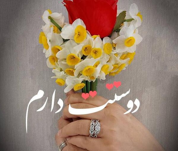 عکس نوشته حسن جان دوست دارم