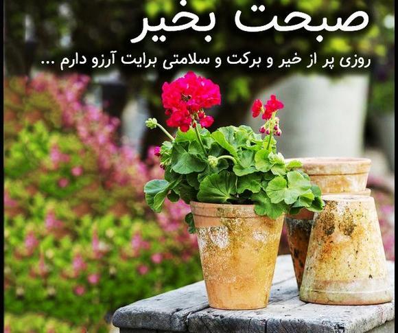عکس صبح بخیر و سلامتی