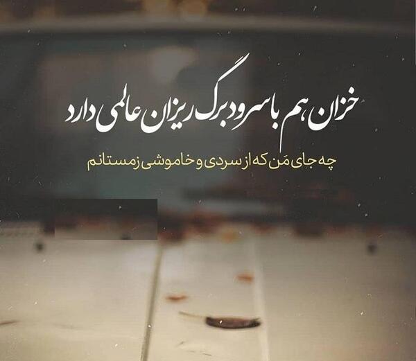 عکس تنهایی هم عالمی دارد