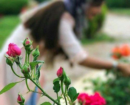 عکس برای پروفایل زیبا بدون متن