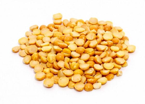 عکس بوته لپه