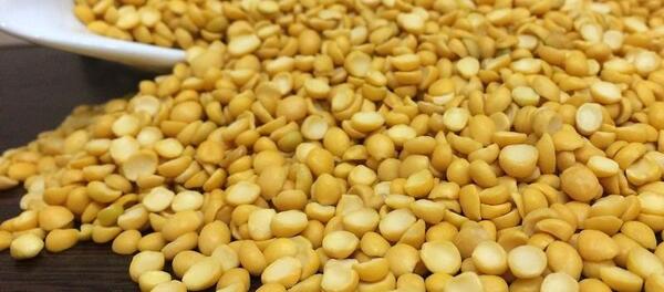 عکس بوته لپه