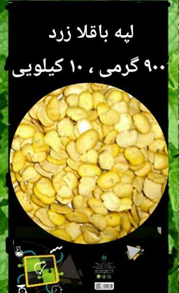 عکس بوته لپه