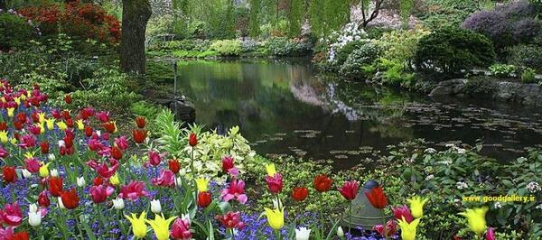 عکس پروفایل طبیعت اچ دی