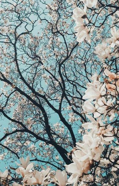 عکس پروفایل طبیعت اچ دی