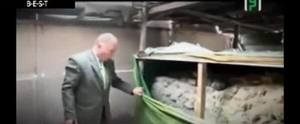 عکس کاخ زلیخا در مصر