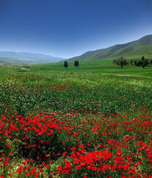 عکس منظره اردیبهشت