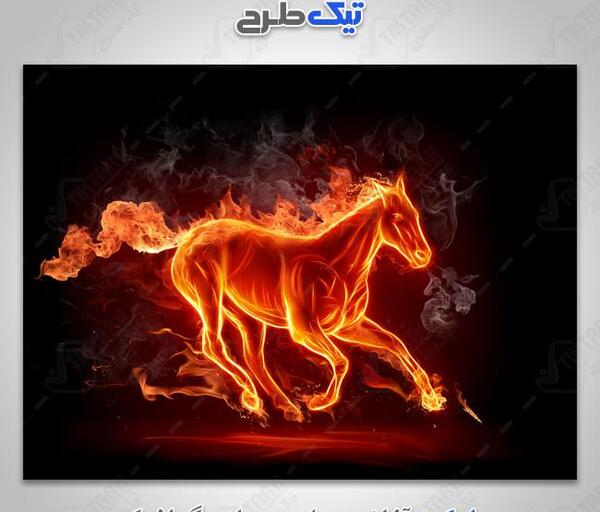عکس اسب آتشی