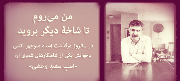عکس اسب آتشی