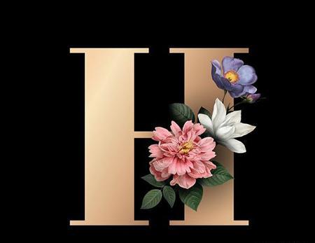 عکس پروفایل عاشقانه حرف h