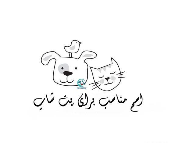 عکس ایده برای اسم کلینیک زیبایی