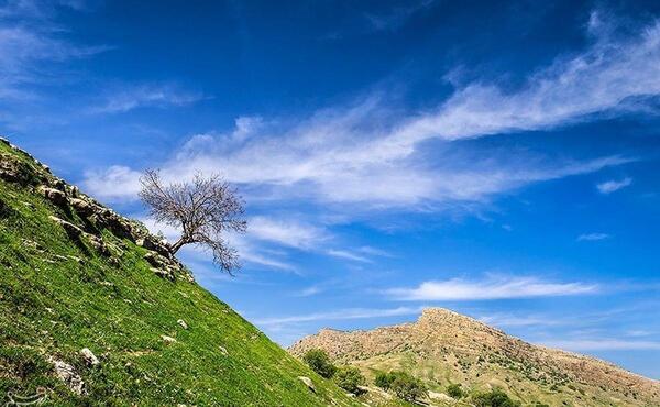 عکس از طبیعت گچساران
