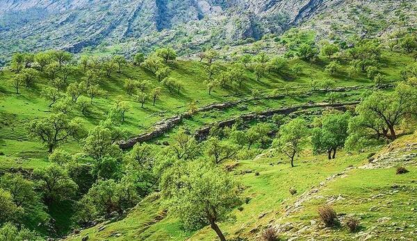 عکس از طبیعت گچساران