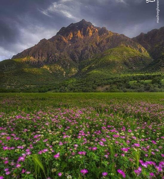عکس از طبیعت گچساران