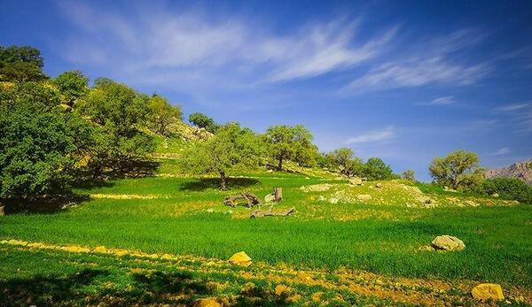 عکس از طبیعت گچساران