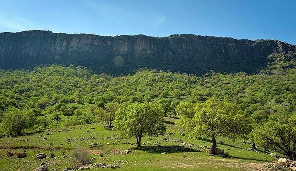 عکس از طبیعت گچساران