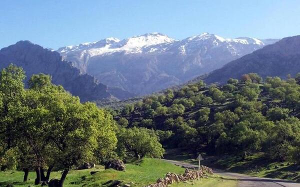 عکس از طبیعت گچساران