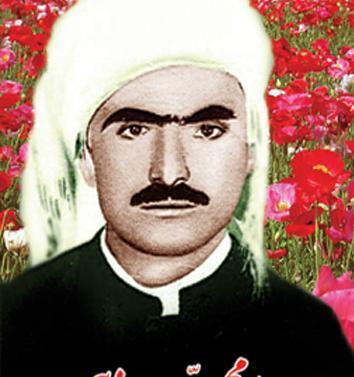 عکس محمد ذبیحی
