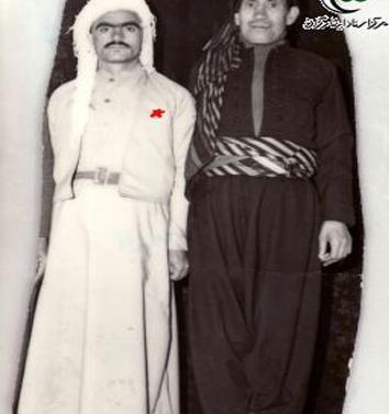 عکس محمد ذبیحی